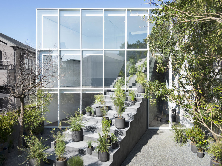 Inter-species residences: houses for plants, animals and humans | Novedades