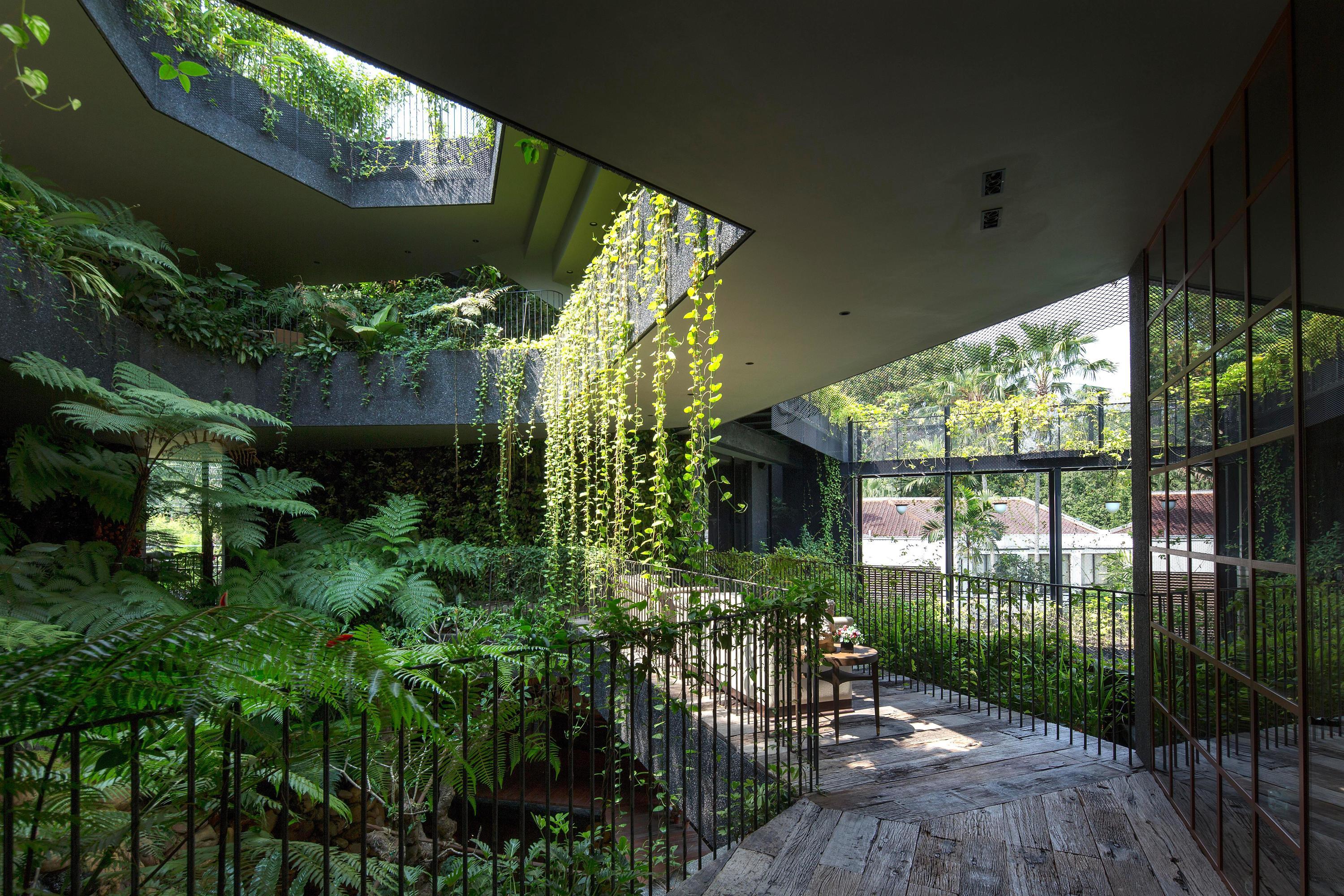 La green residence. Гарденс Грин зеленый сад. Корнуолл Гарденс Хаус. Зеленый Оазис в Сингапуре. Освещение зимнего сада.